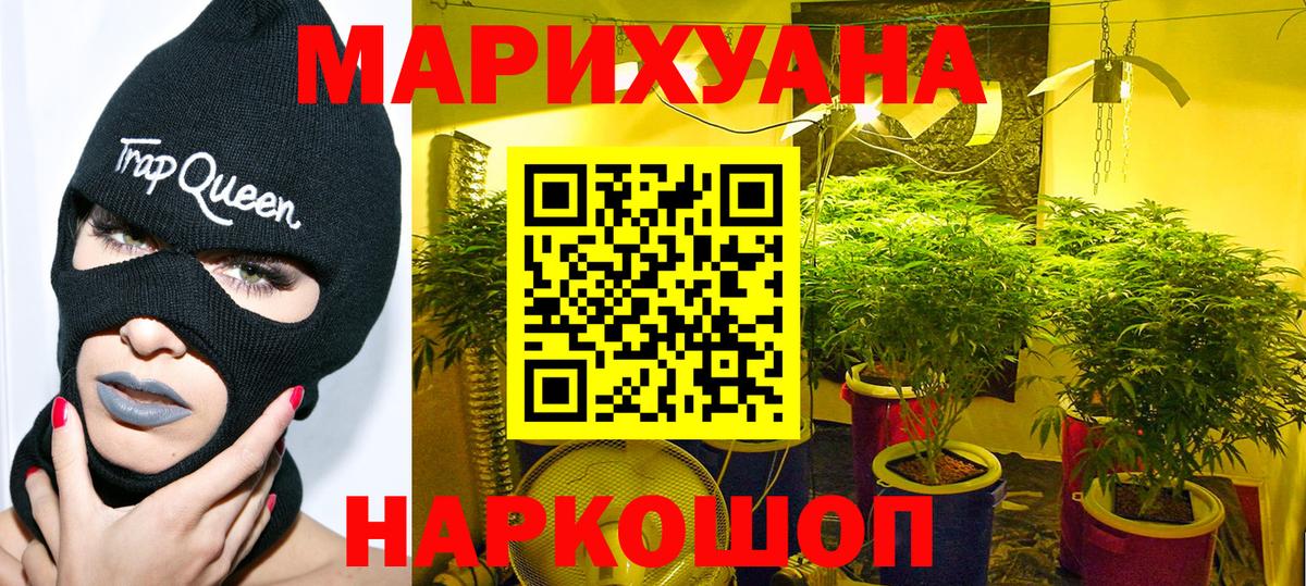 Бошки Шишки конопля  Бошки марихуана тримм  Каннабис SATIVA & INDICA  Вход с VPN  МАРИХУАНА Bruce Banner  Губкин 